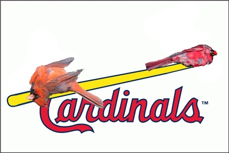 Cardinals_medium