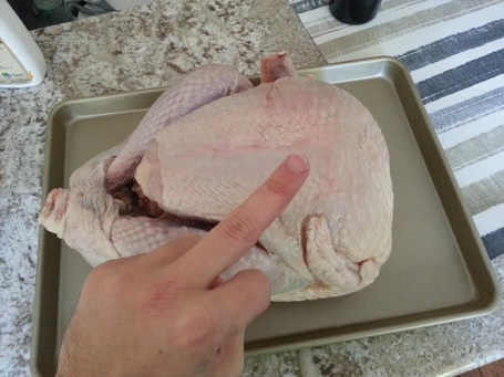 Fried_turkey_5_medium