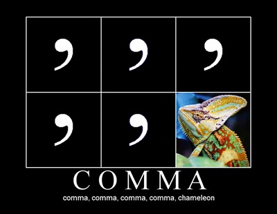 comma chameleon