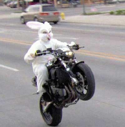 Easter-bunny-motorcycle_medium