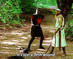 Flesh-wound_medium