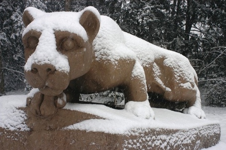 Winternittany-lion-snow-1024x680_medium