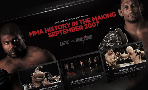 UFC 75 web site