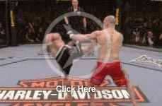 UFC Fight Night 13 video