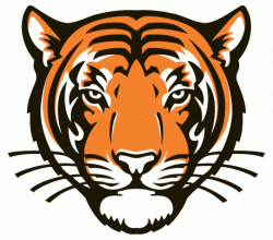 Sports_college_princeton-tigers-alt_medium