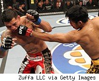 Nam Phan punches Leonard Garcia at The Ultimate Fighter finale.