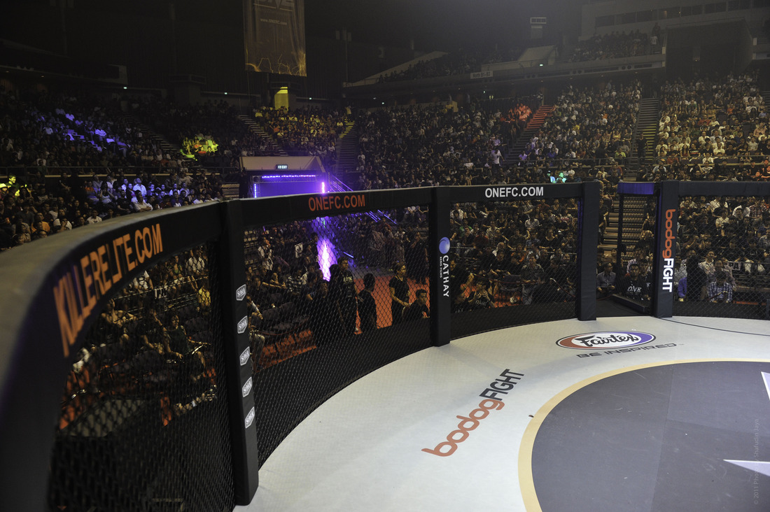ONE FC Anounce Major Indonesian TV Deal with Ole Laursen
